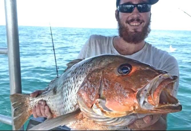 Golden Snapper with Offshore Boats