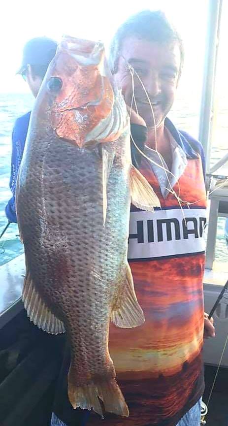 Golden Snapper - Offshore Boats reef fishing charters