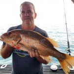 Golden Snapper with Offshore Boats Darwin FIshing Charters