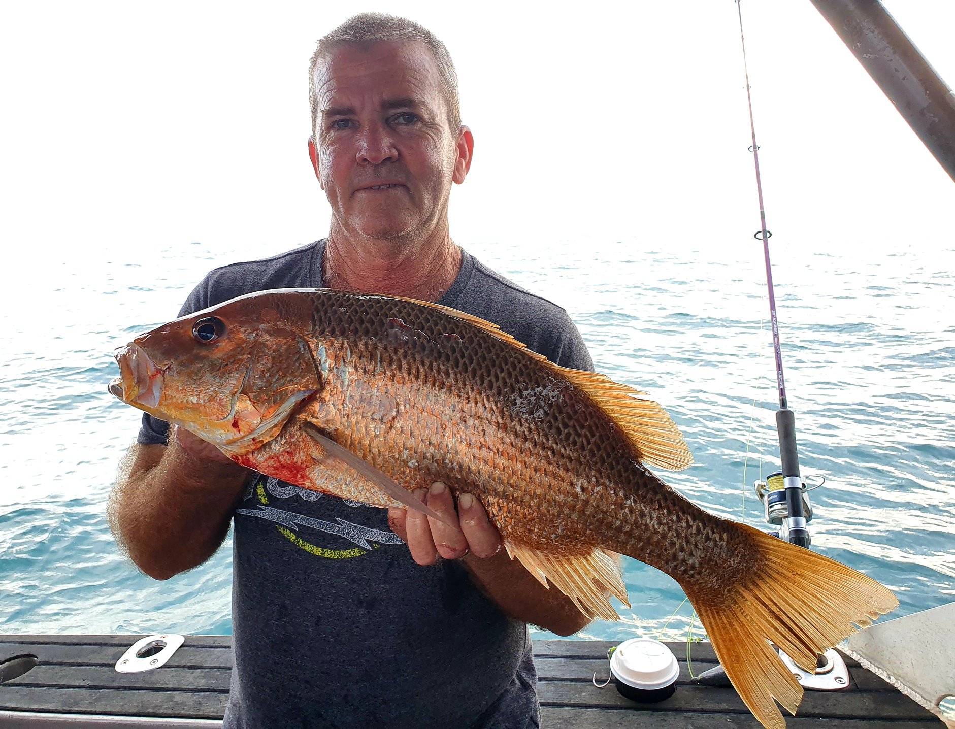 Golden Snapper with Offshore Boats Darwin FIshing Charters